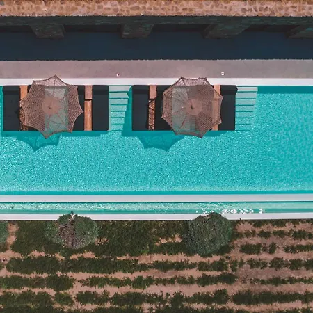 Aora Ftelia Mykonos *