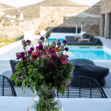 Aora Ftelia Mykonos * Панормос-Миконос