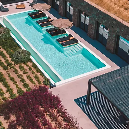 Aora Ftelia Mykonos Villa Panormos (Mykonos)