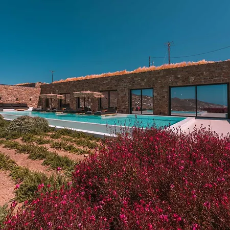 Villa Aora Ftelia Mykonos